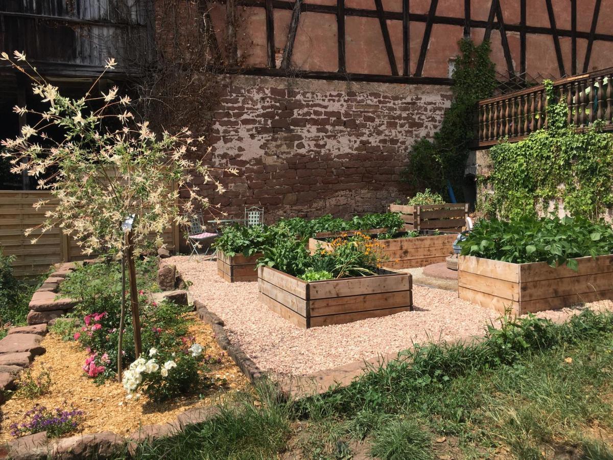 Au Relais De L'Histoire Gite Classe 4 Etoiles Oberbronn 외부 사진